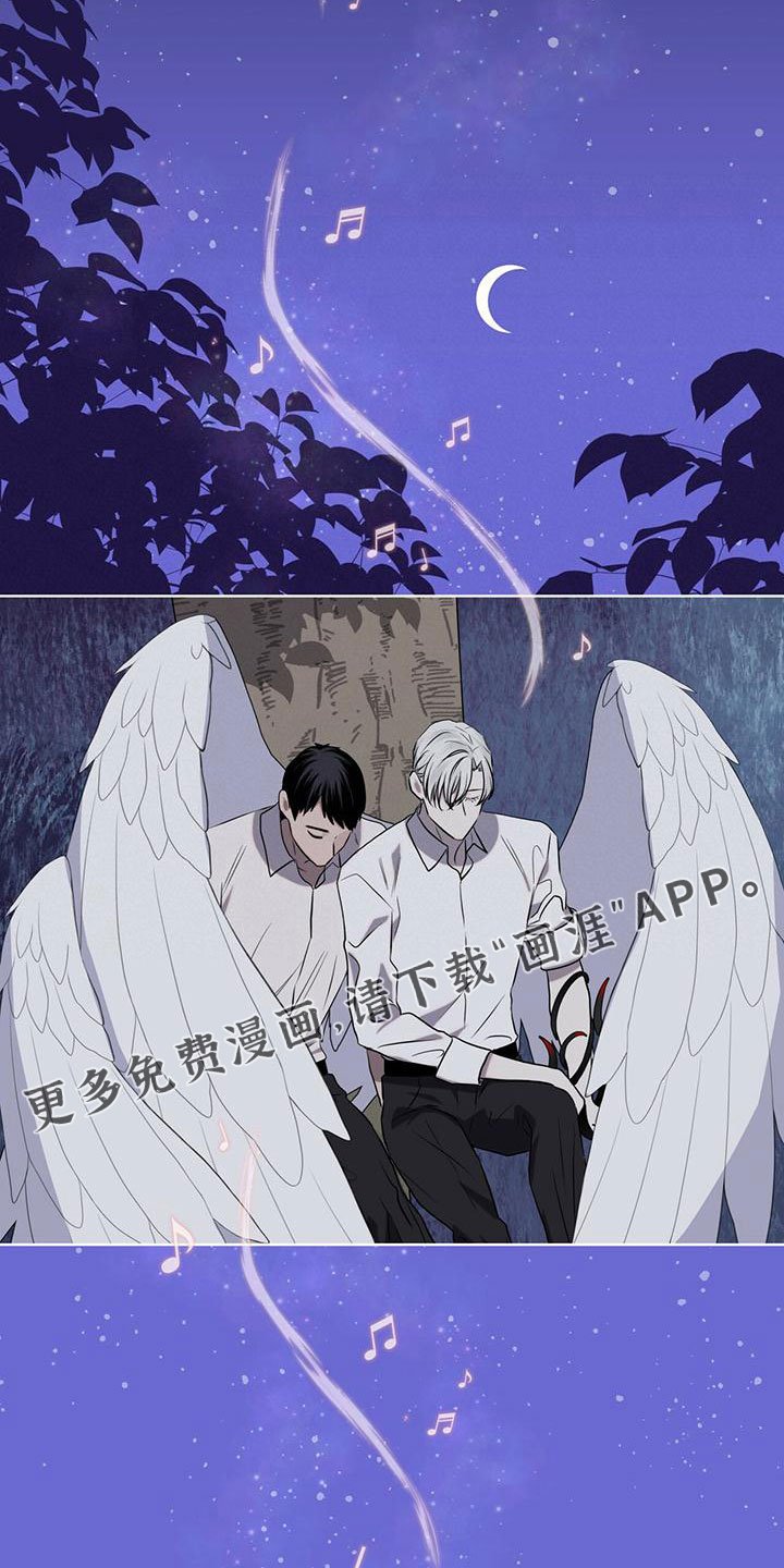第39章：夜曲