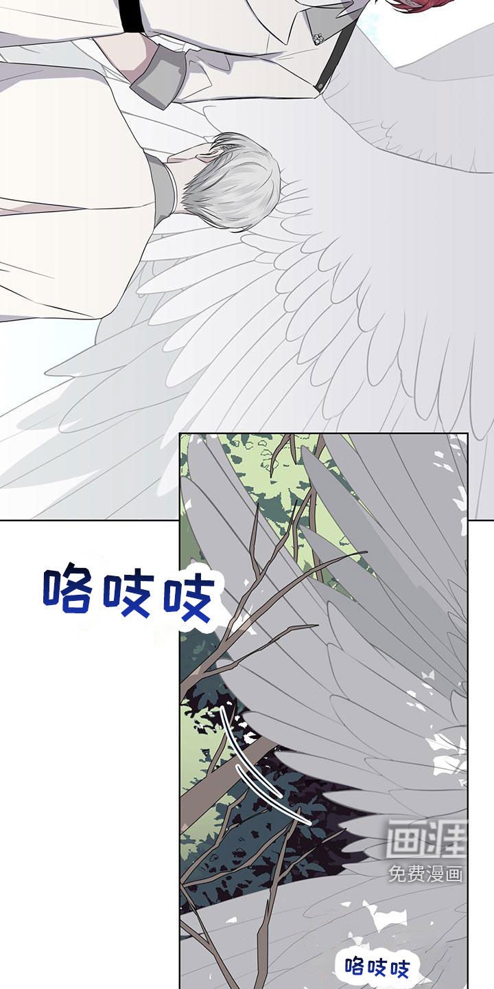 第46章：变回本体