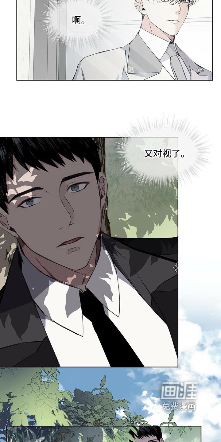 第5章：对视