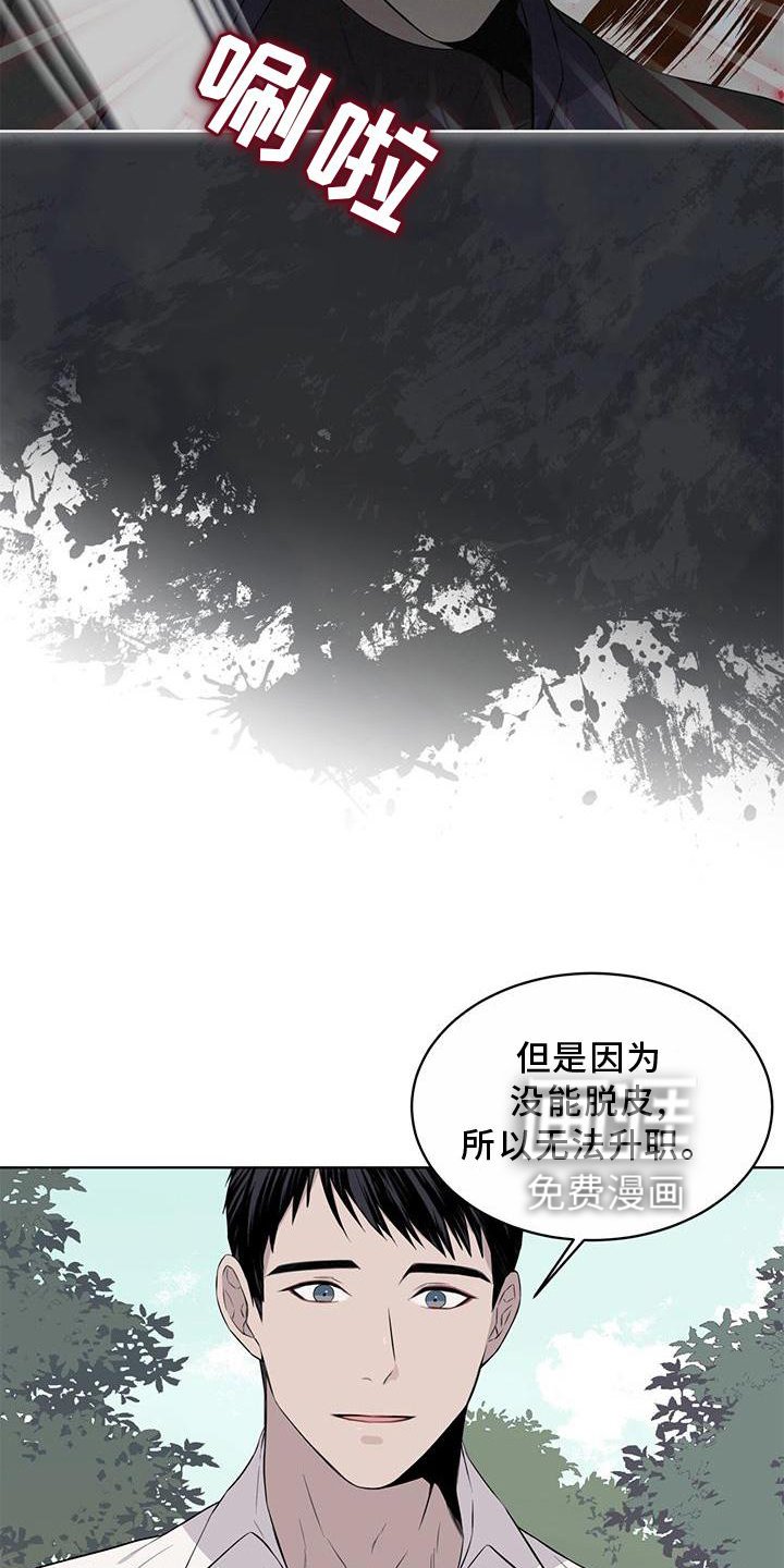 第53章：摘水果
