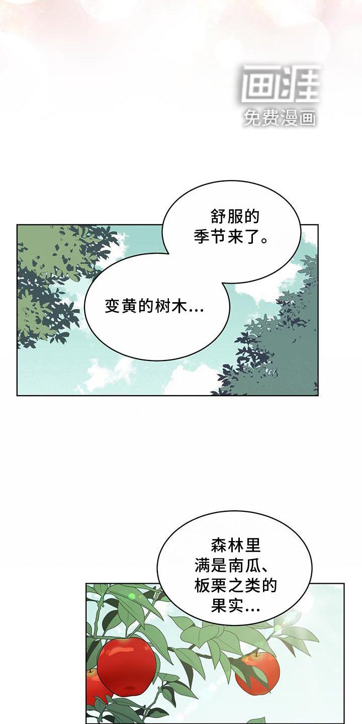 第53章：摘水果