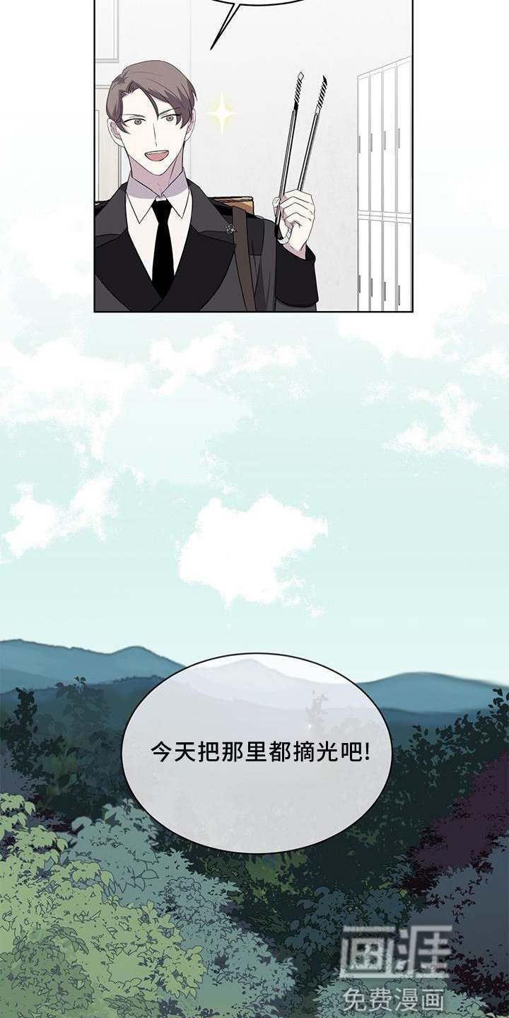 第53章：摘水果