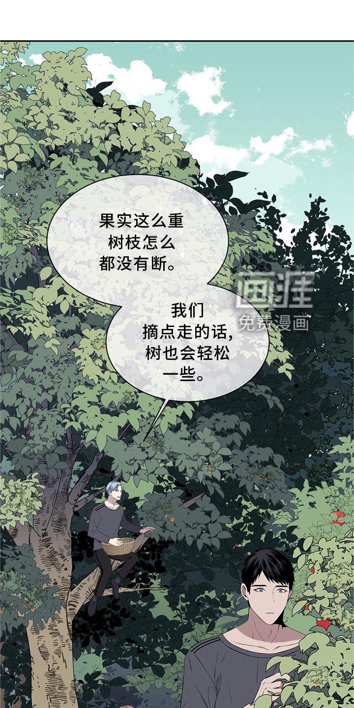 第54章：鸟蛋