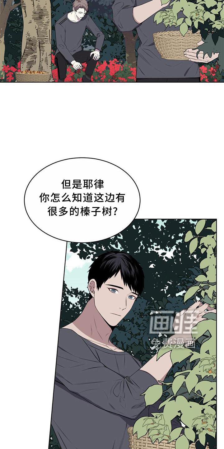 第54章：鸟蛋