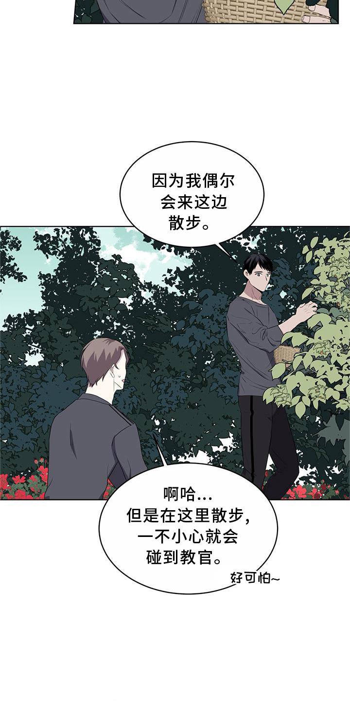 第54章：鸟蛋