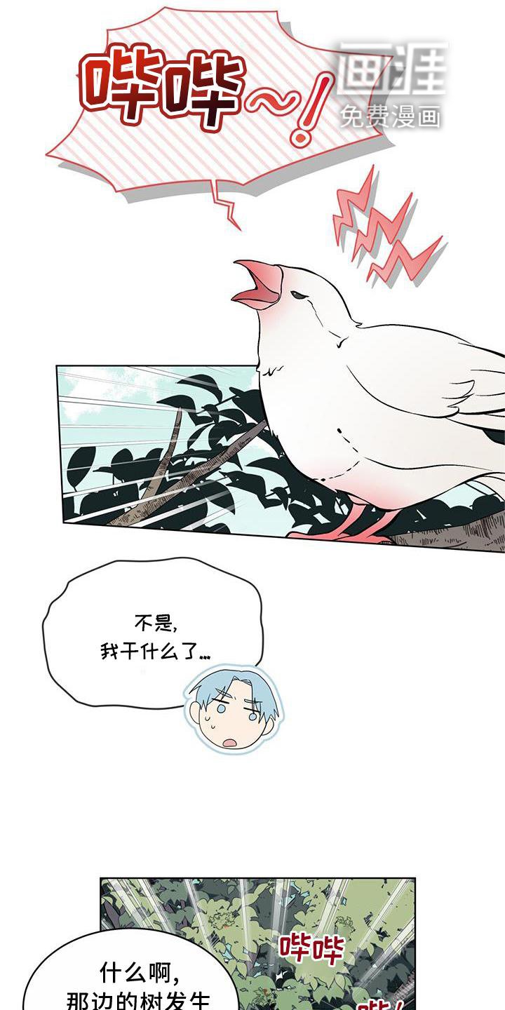 第54章：鸟蛋