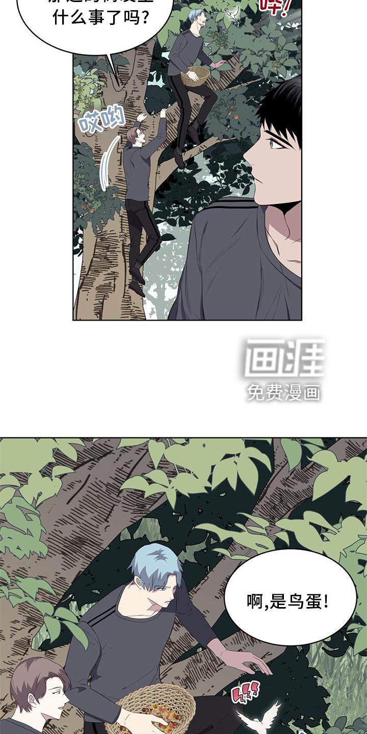 第54章：鸟蛋