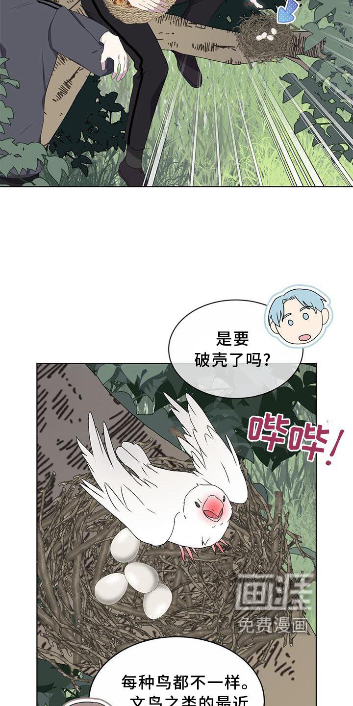 第54章：鸟蛋