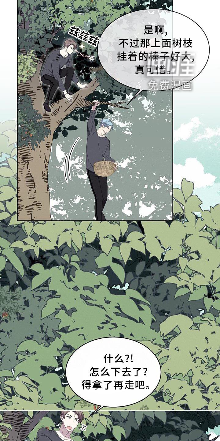 第54章：鸟蛋