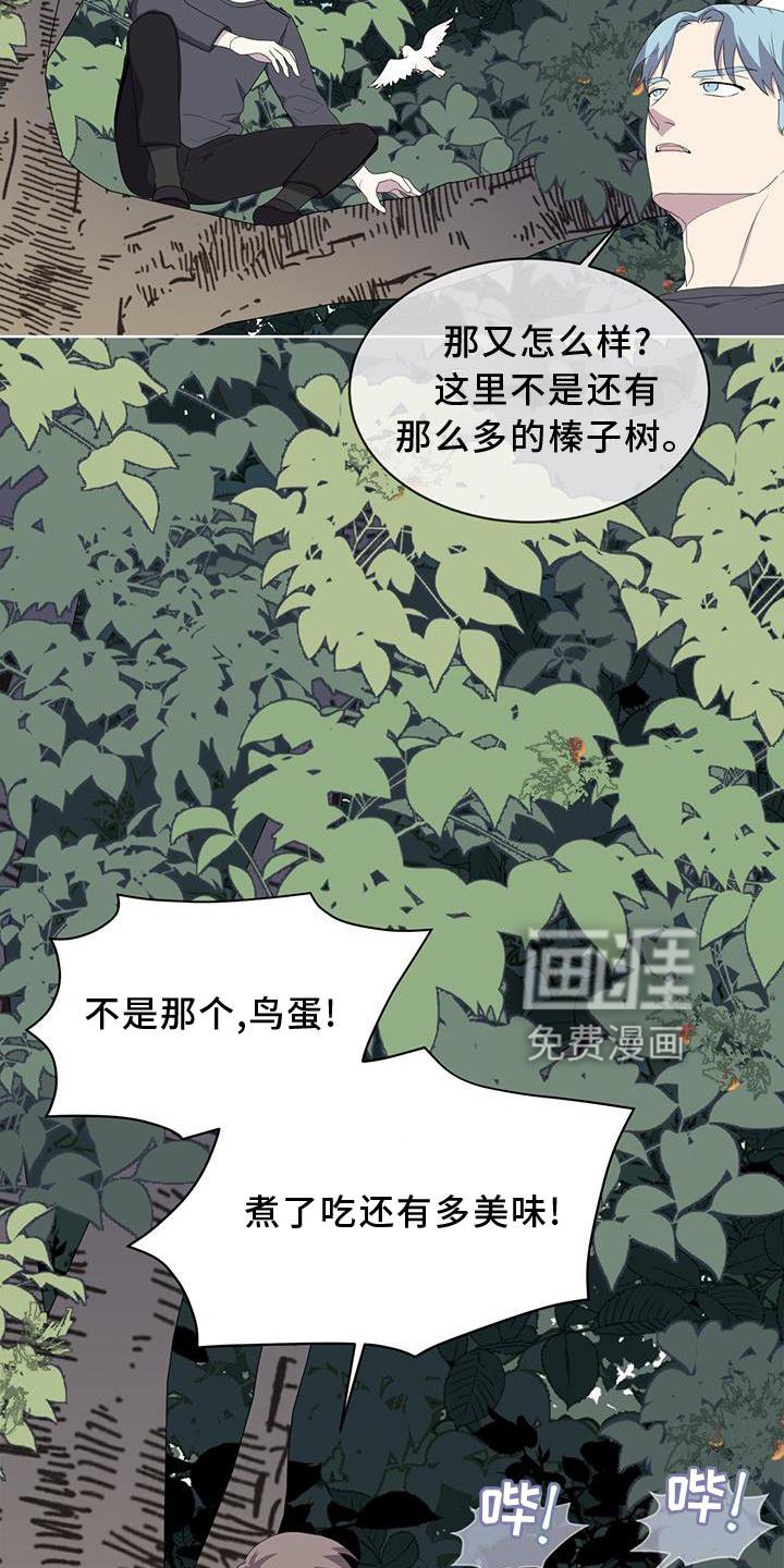 第54章：鸟蛋