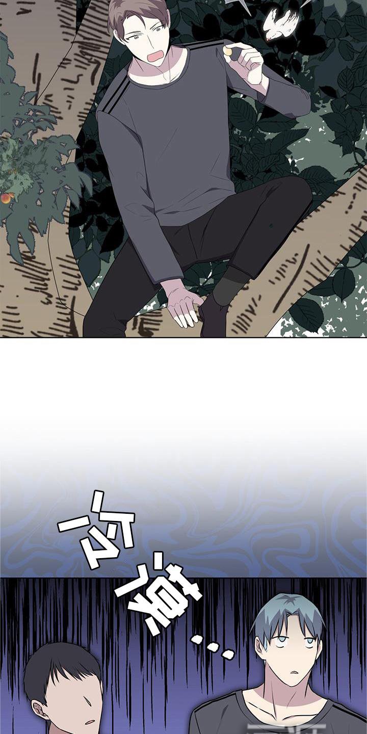 第54章：鸟蛋