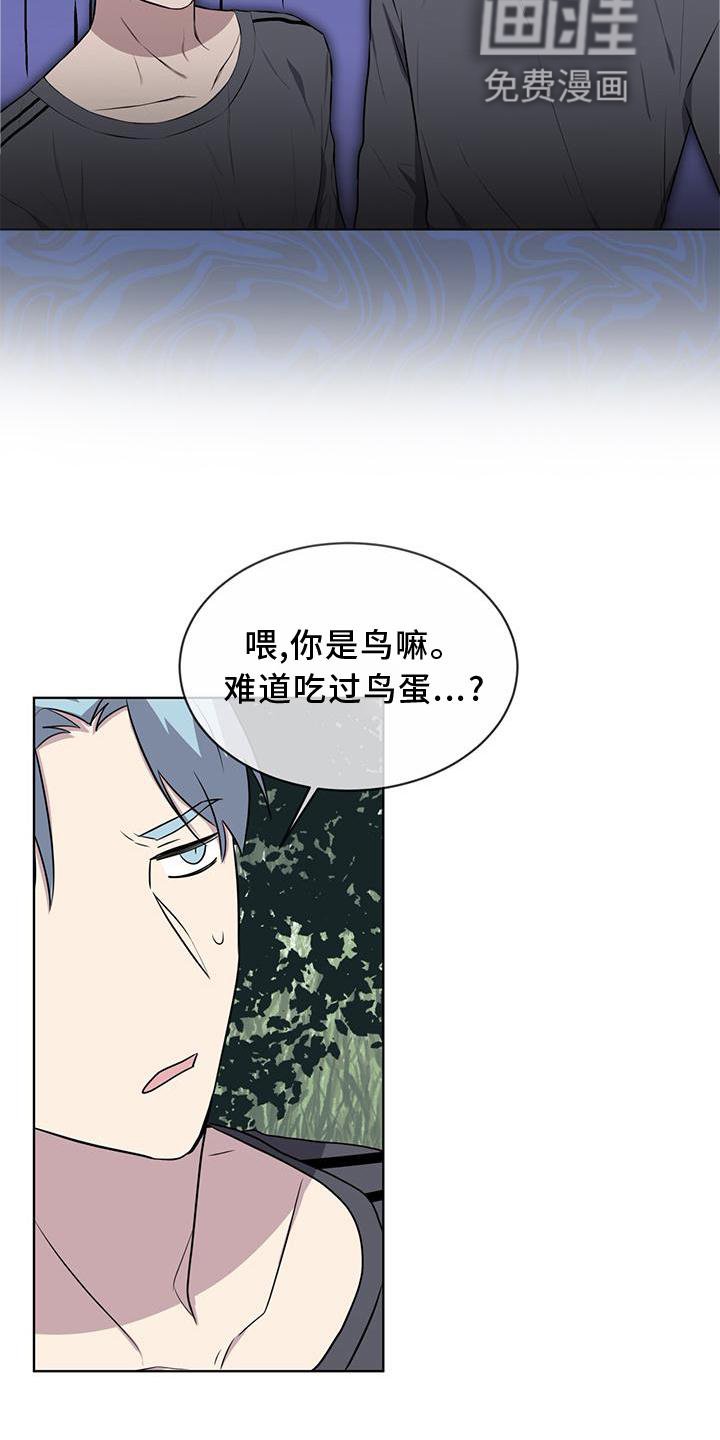 第54章：鸟蛋