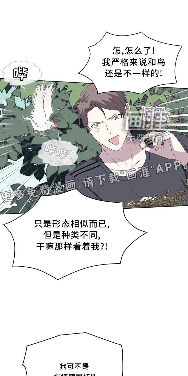 第54章：鸟蛋