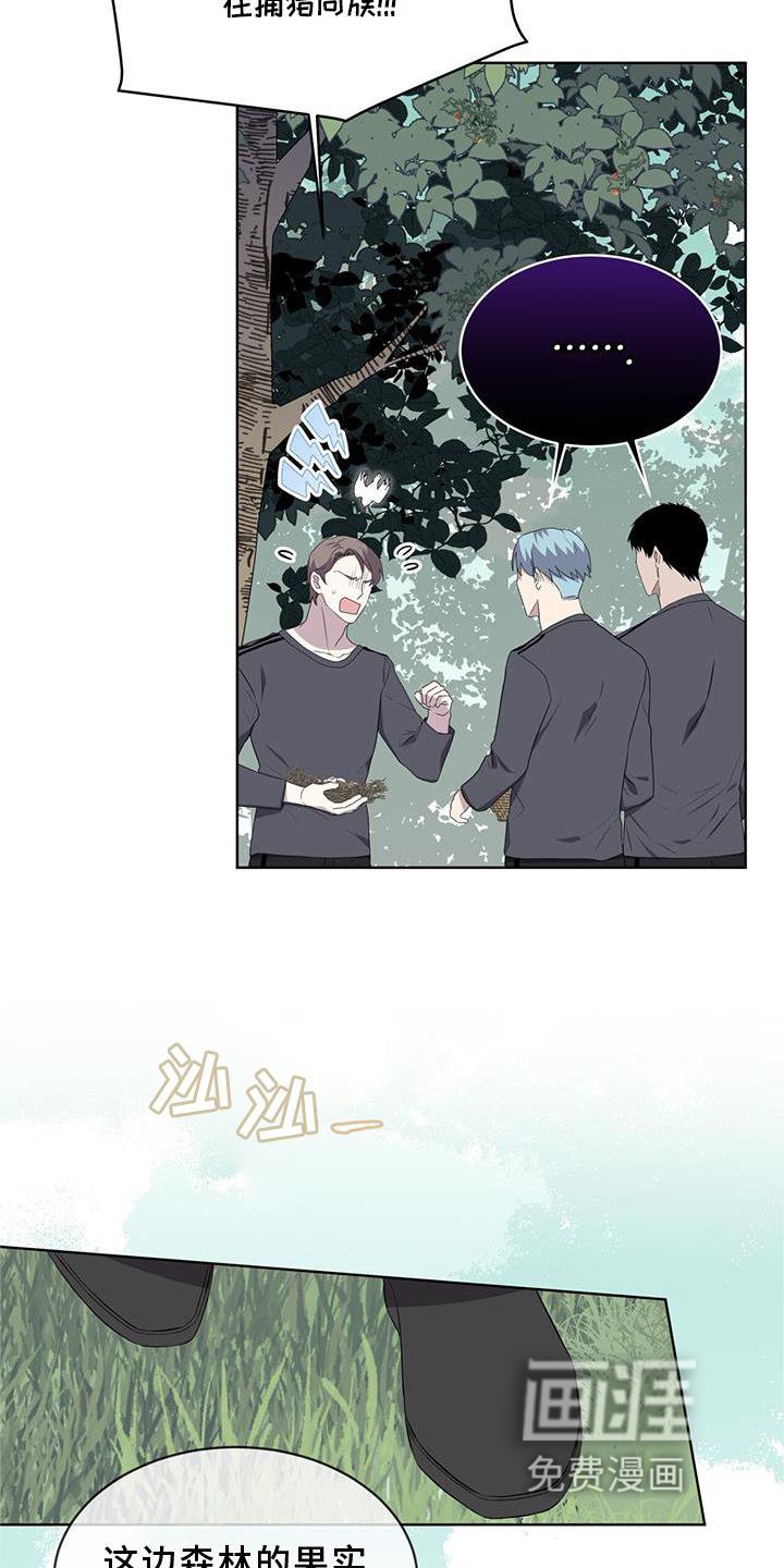 第54章：鸟蛋