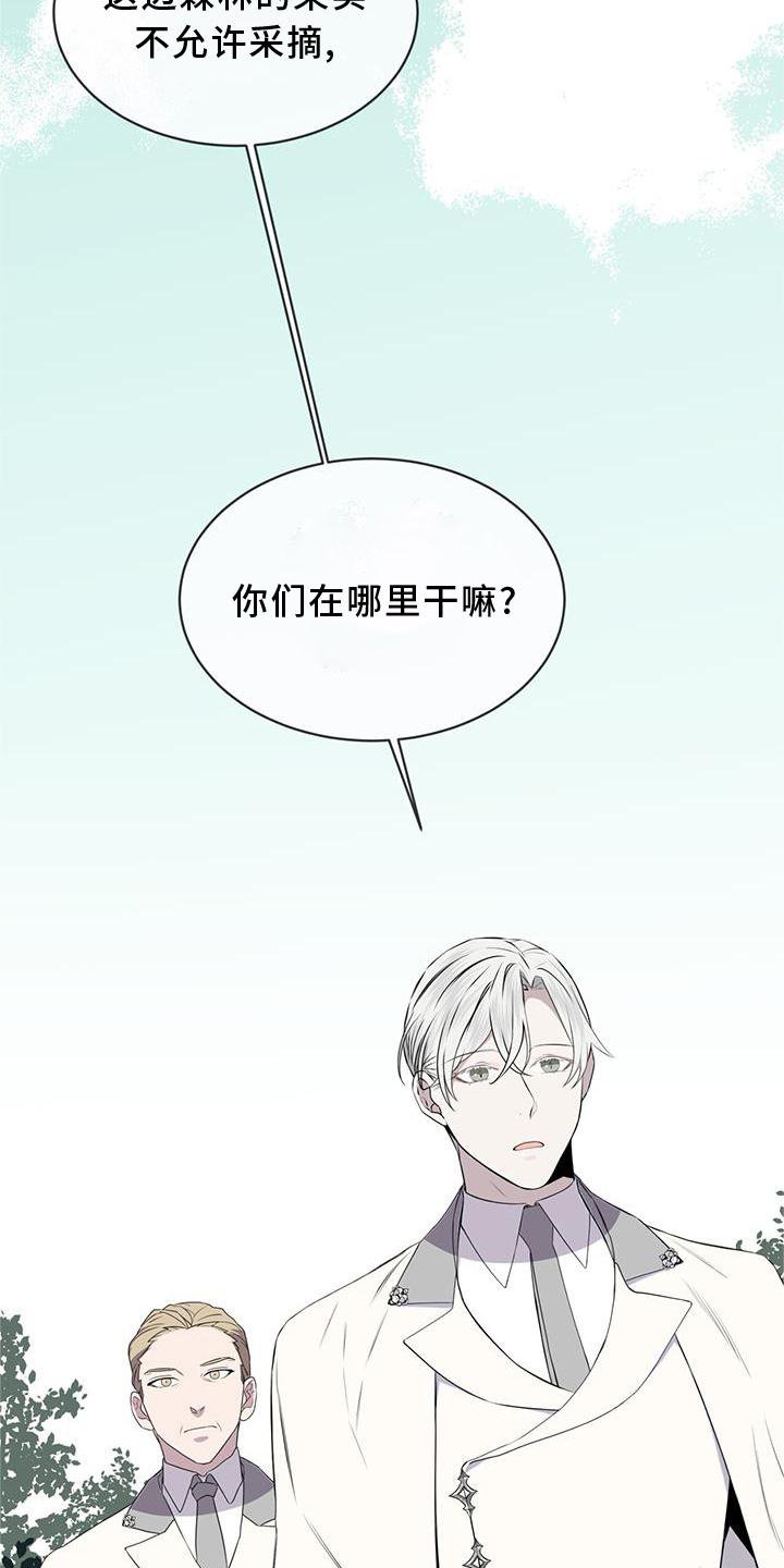 第54章：鸟蛋