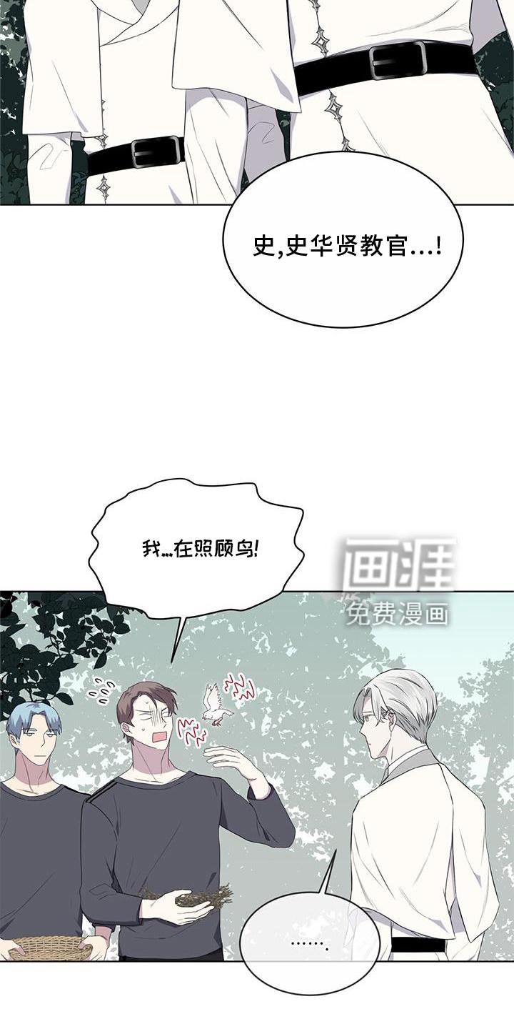 第54章：鸟蛋