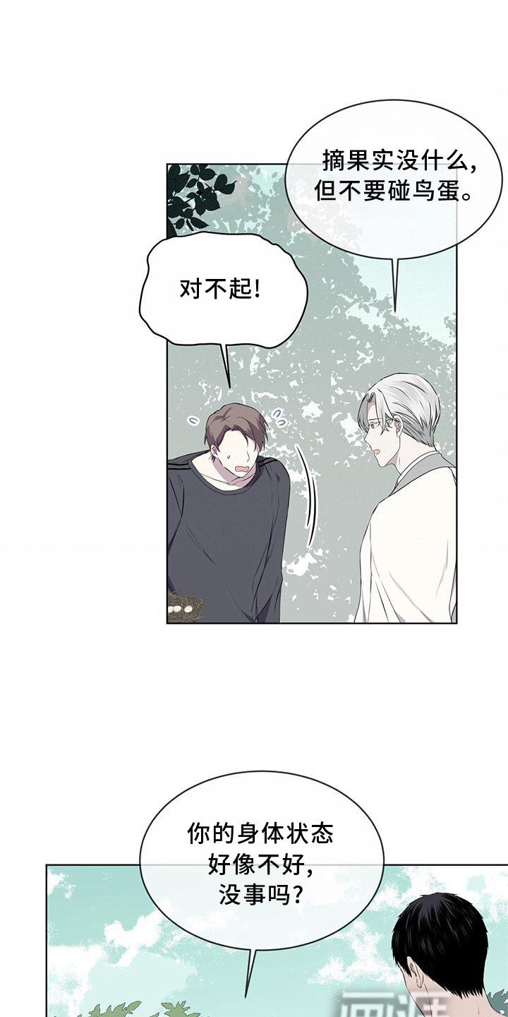 第54章：鸟蛋