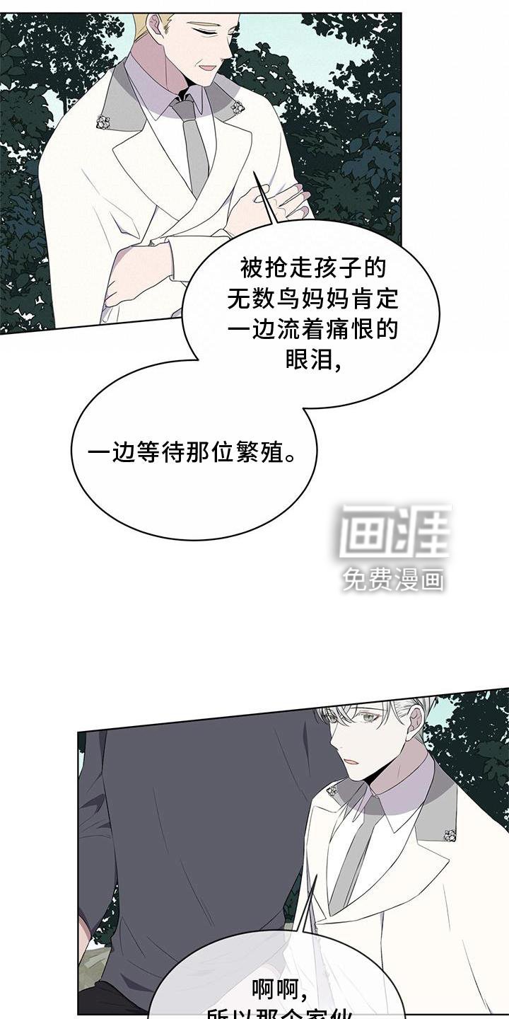 第54章：鸟蛋
