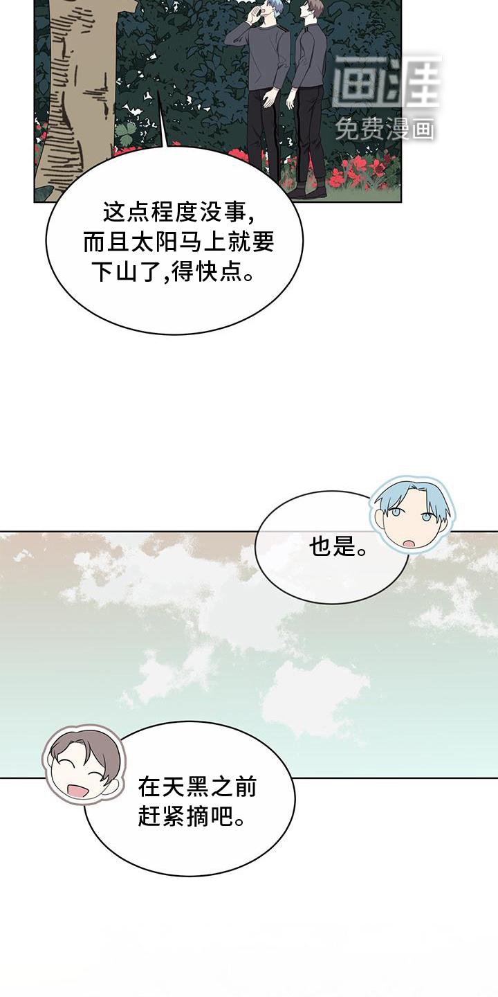 第55章：联想