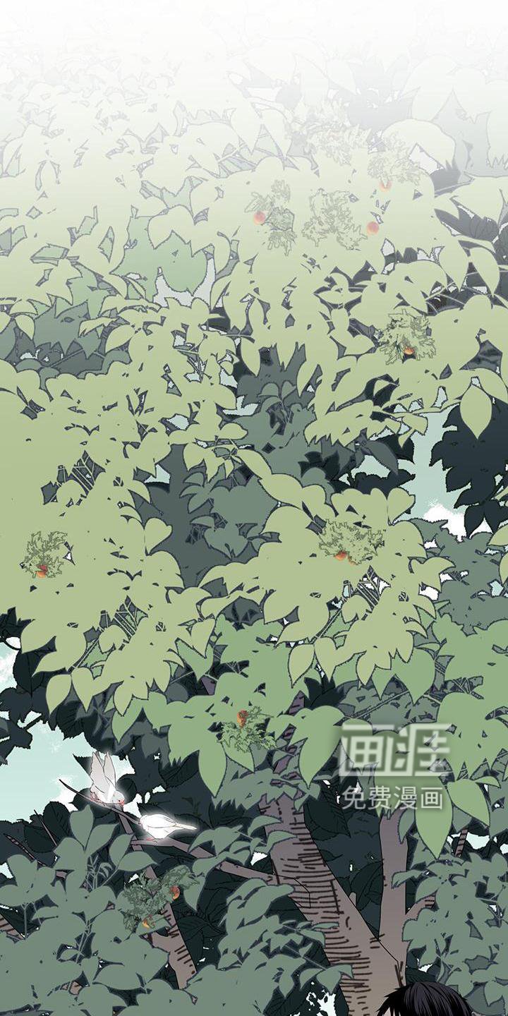 第55章：联想