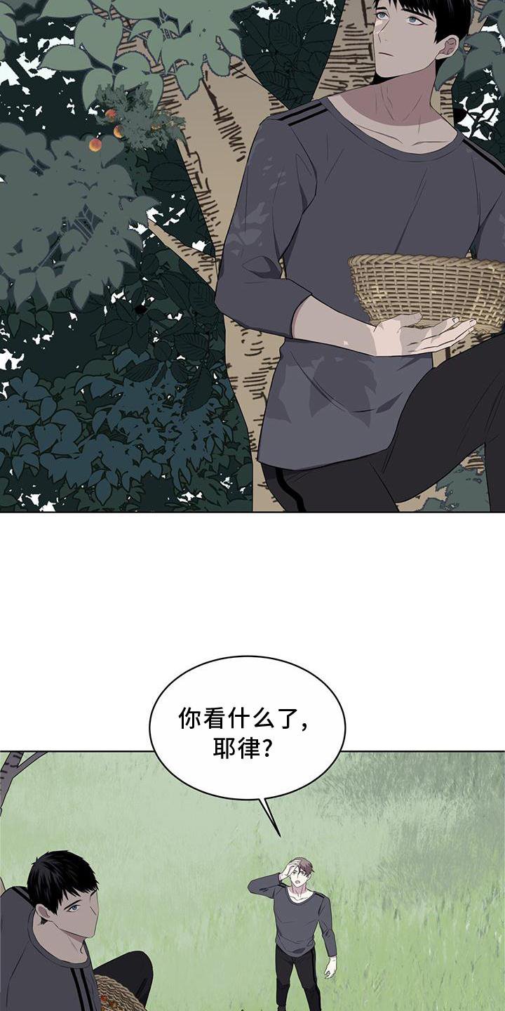 第55章：联想