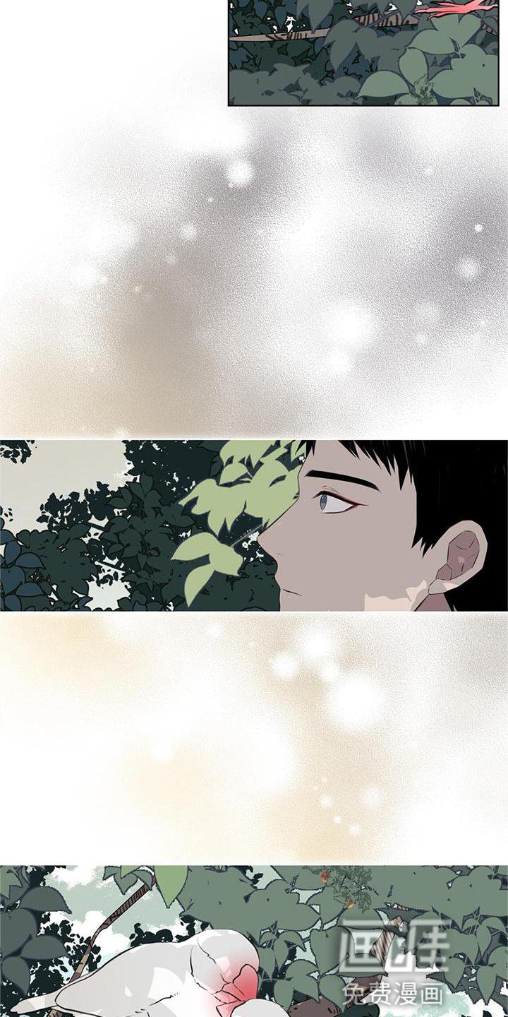 第55章：联想