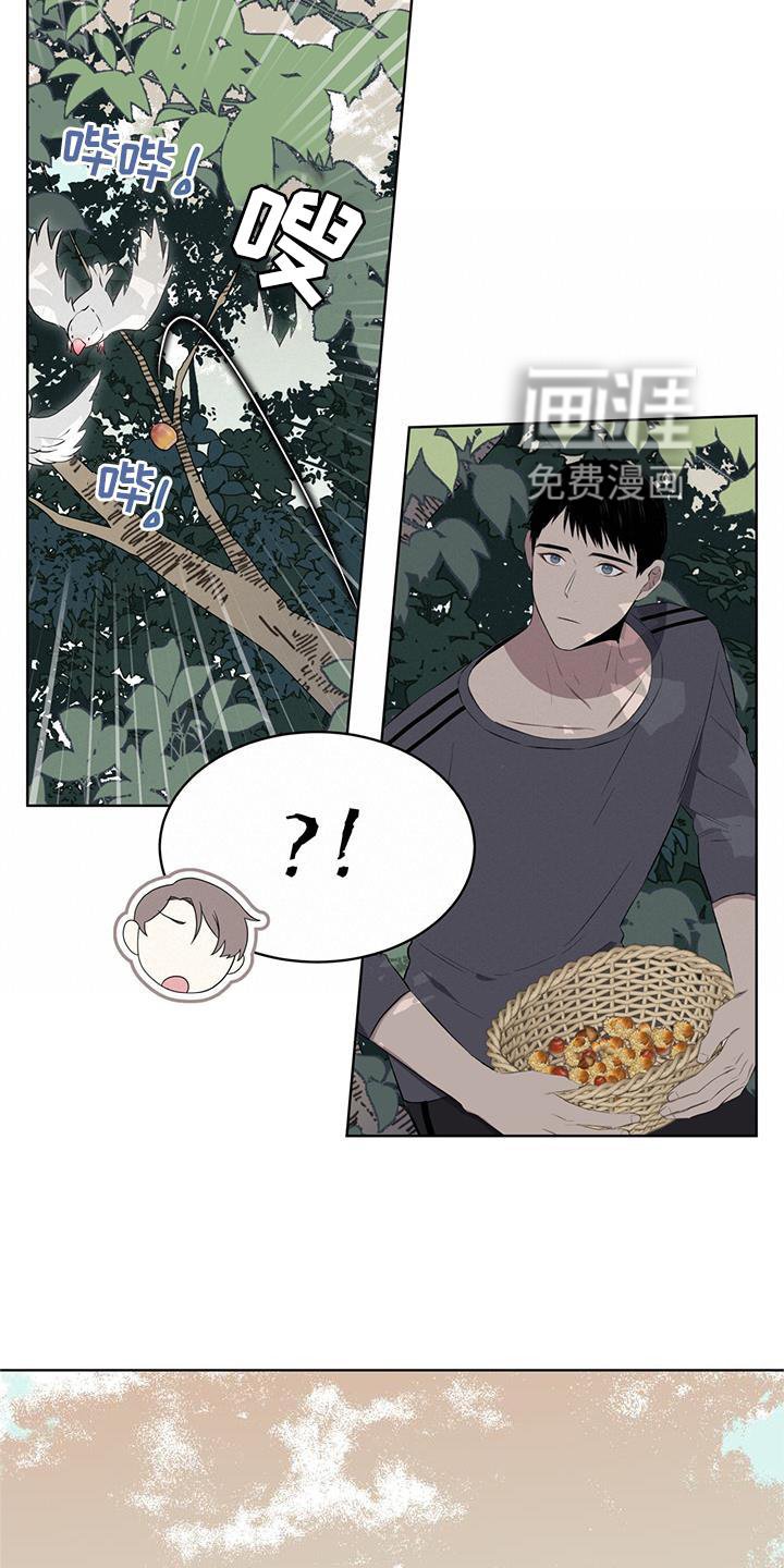 第55章：联想