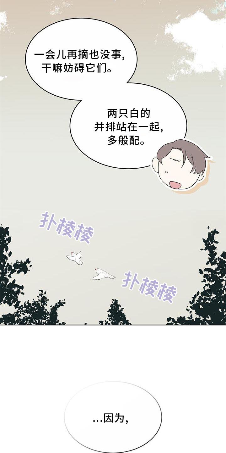 第55章：联想