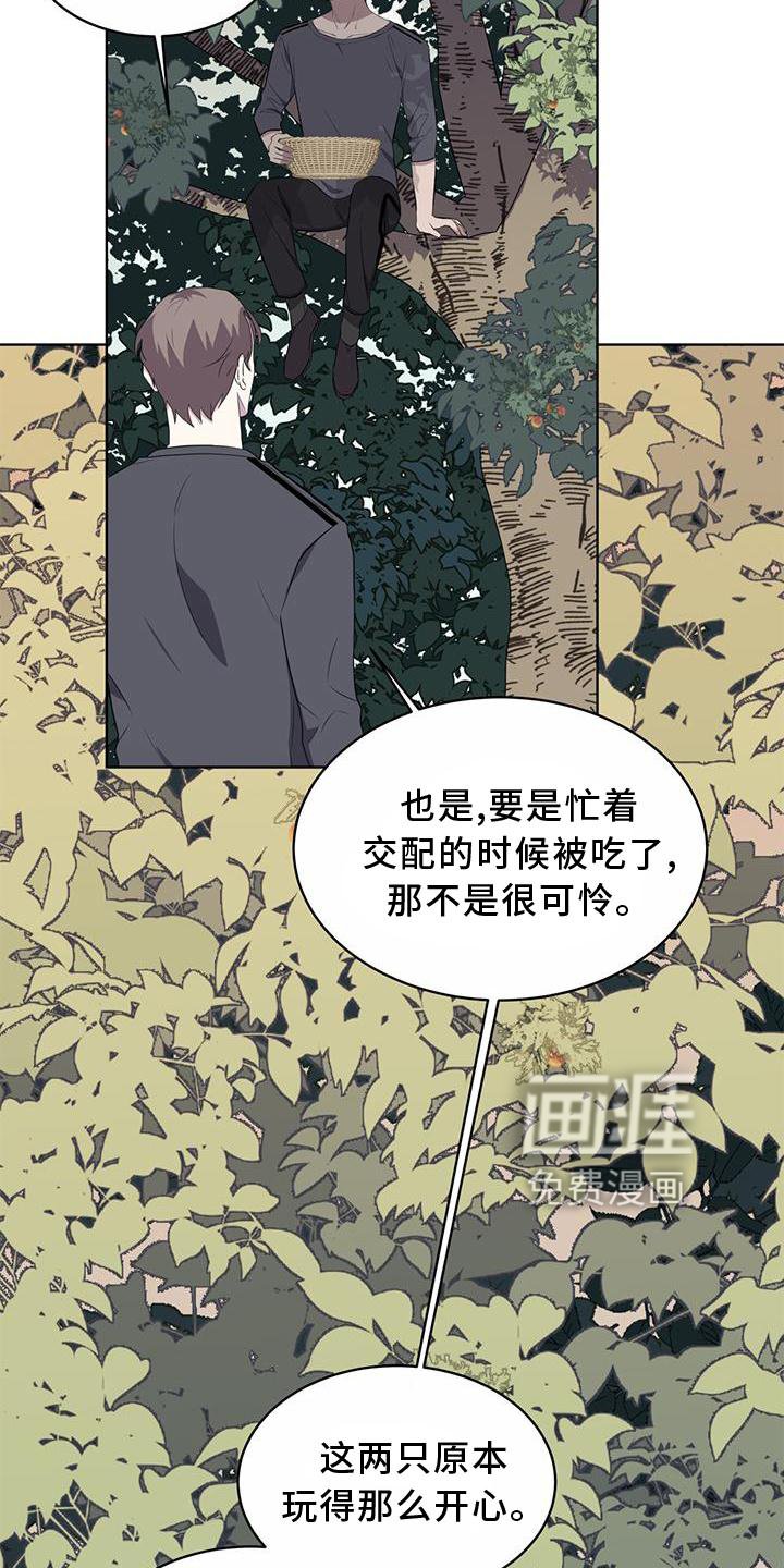 第55章：联想