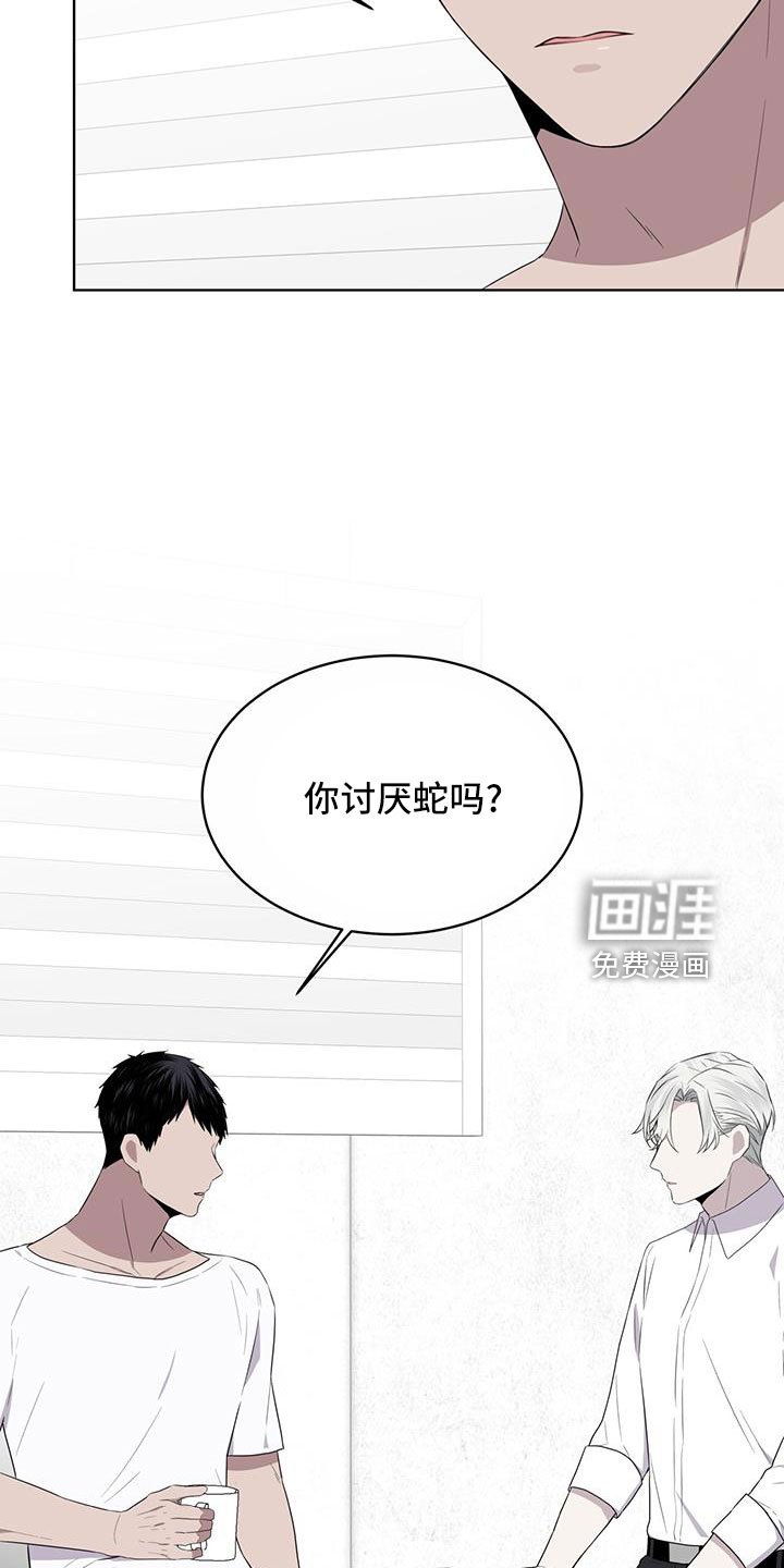 第56章：你讨厌吗？