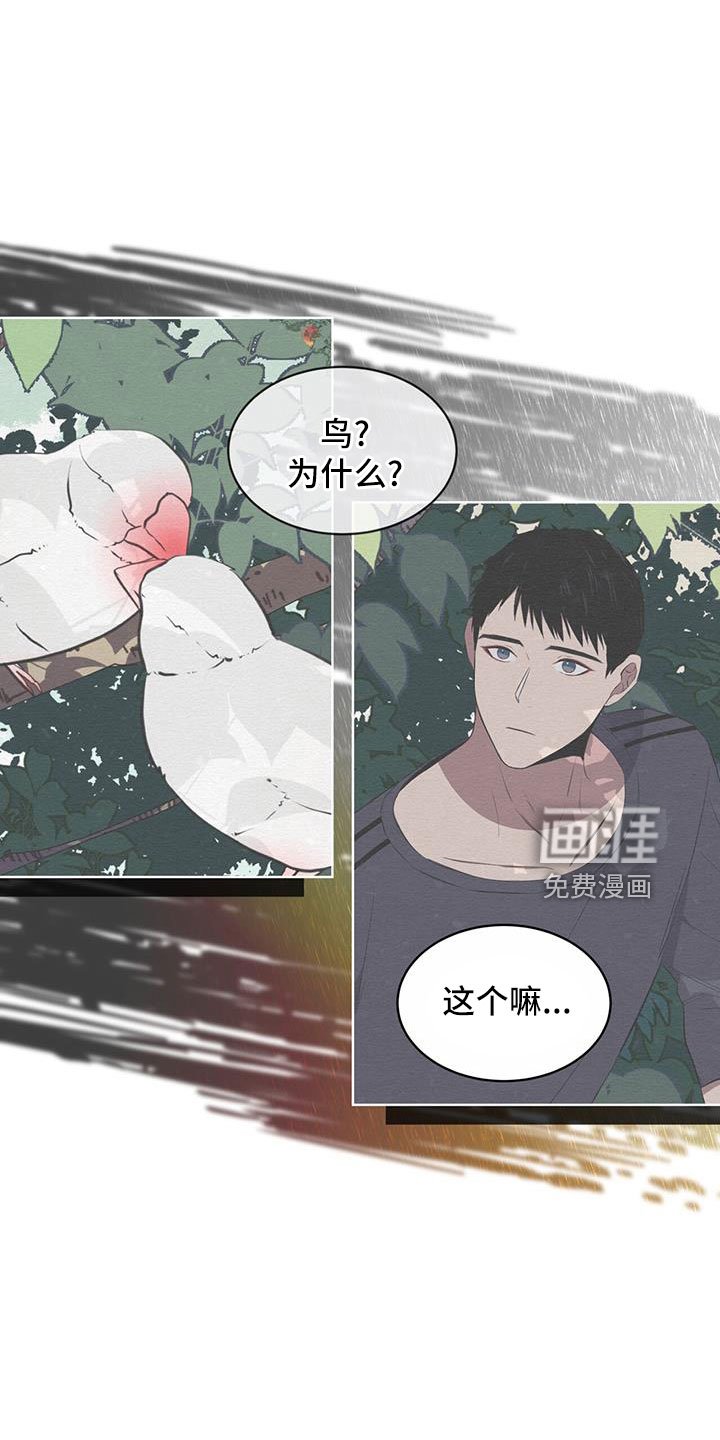 第57章：不能碰羽毛