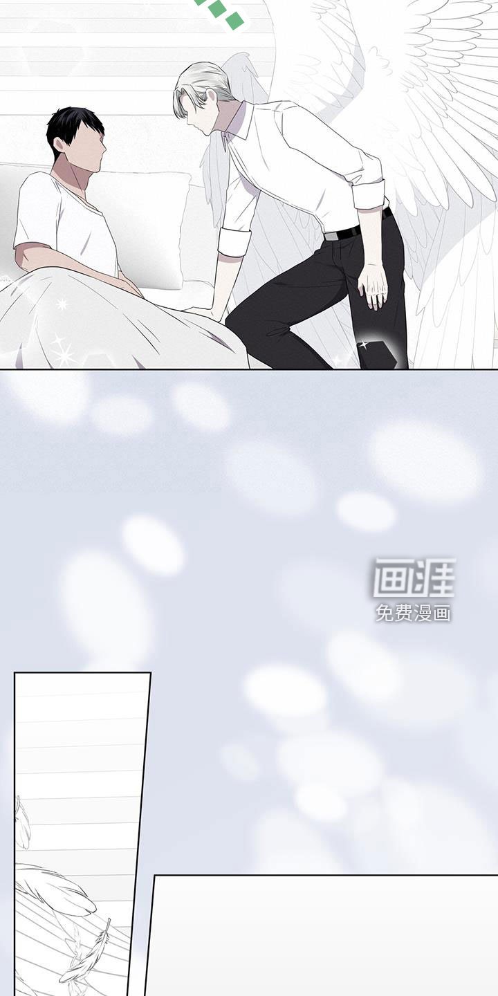 第57章：不能碰羽毛