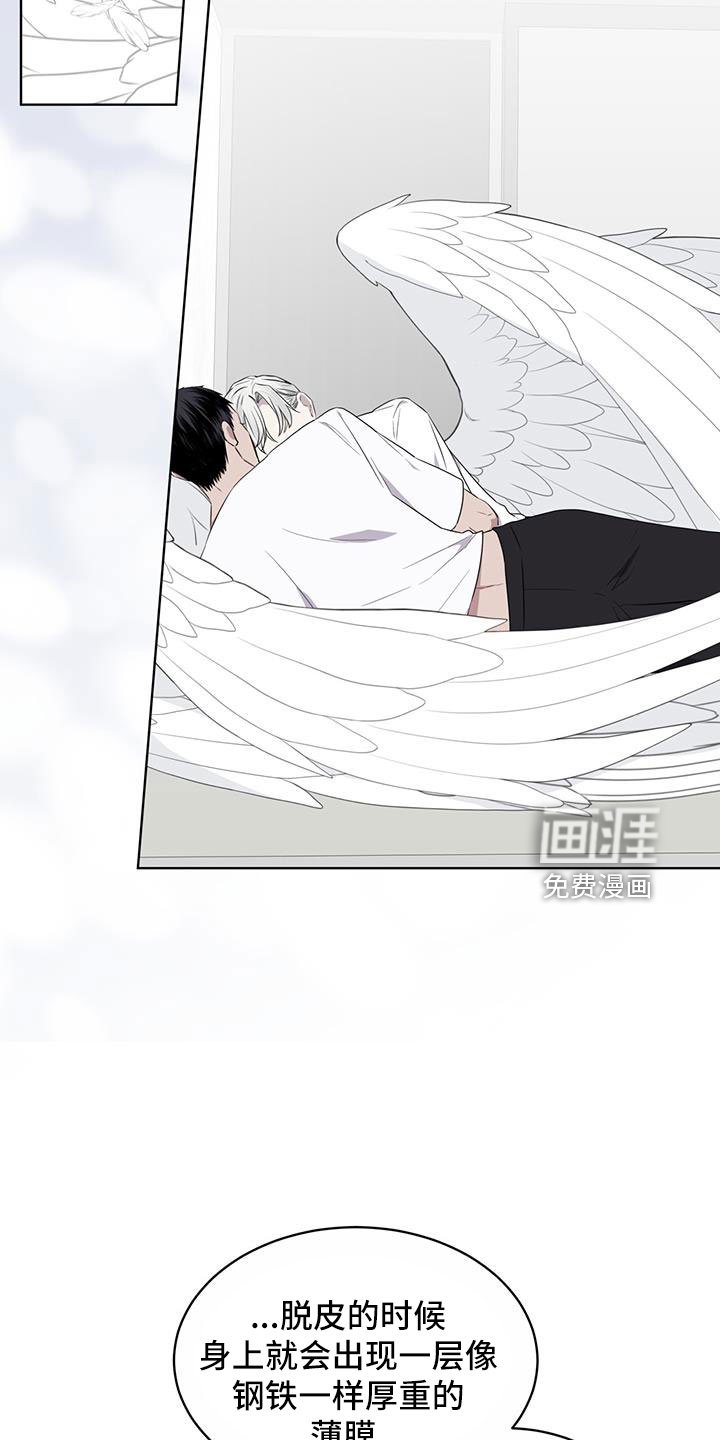 第57章：不能碰羽毛
