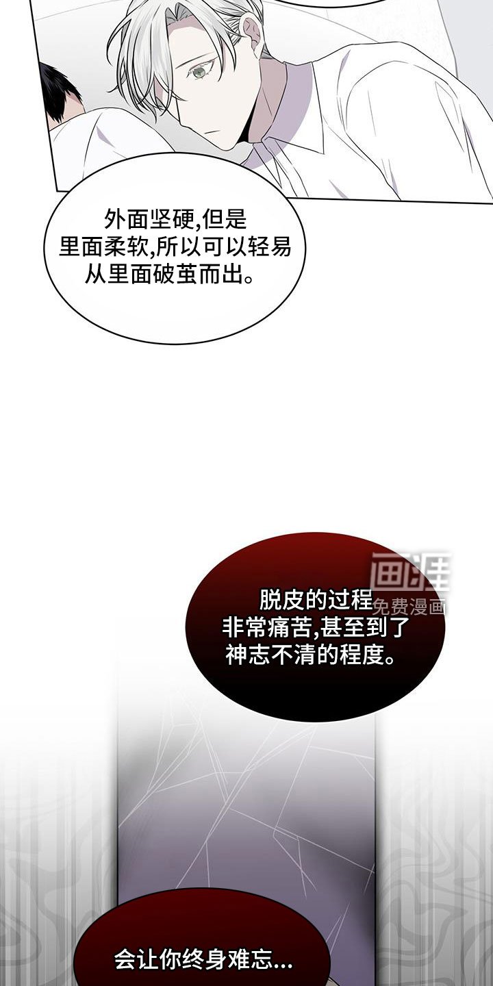 第57章：不能碰羽毛