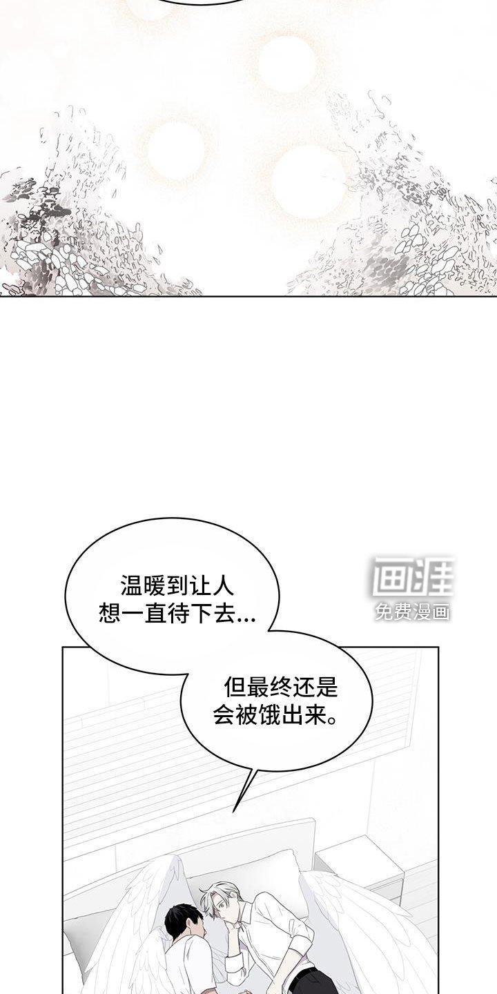 第57章：不能碰羽毛