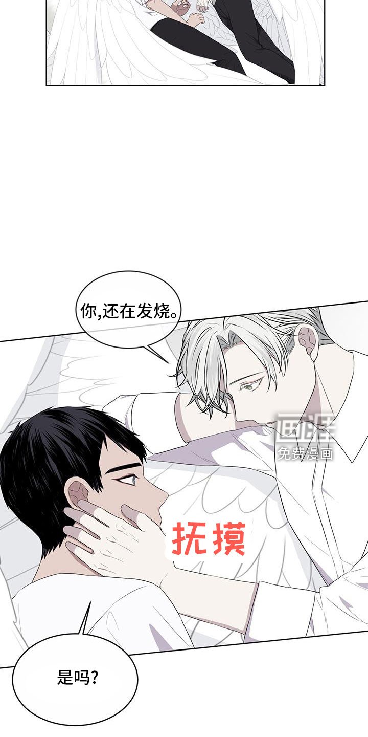 第57章：不能碰羽毛