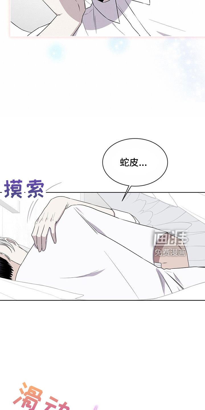 第57章：不能碰羽毛