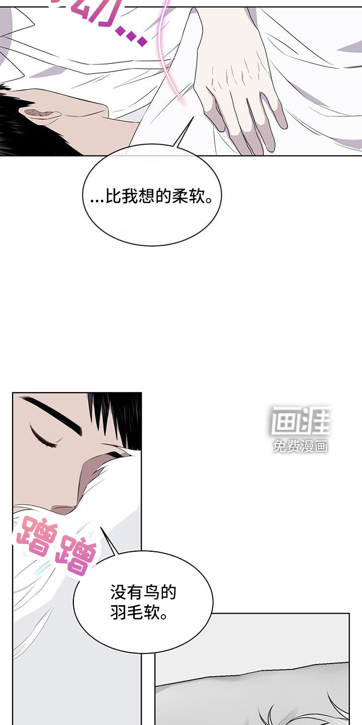 第57章：不能碰羽毛