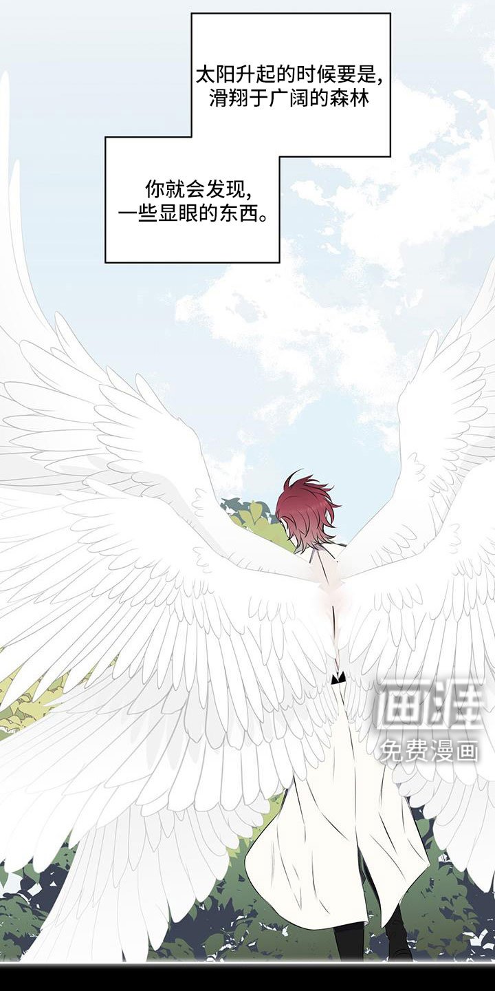 第64章：【第二季】奇观