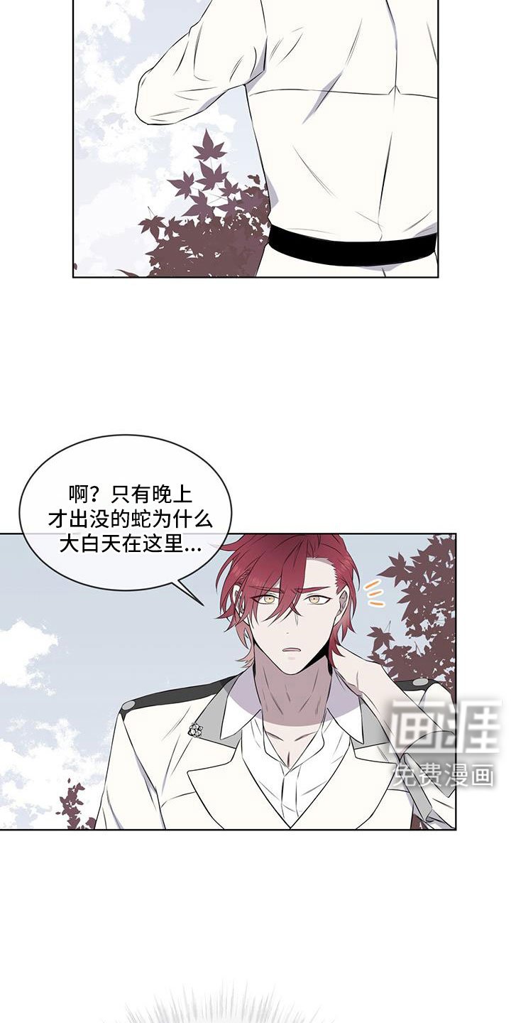 第65章：【第二季】你选吧