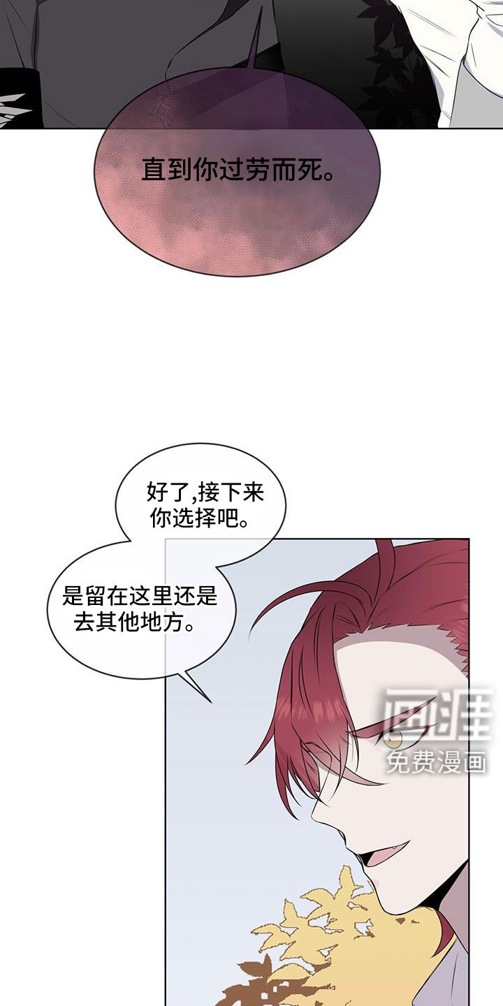第65章：【第二季】你选吧