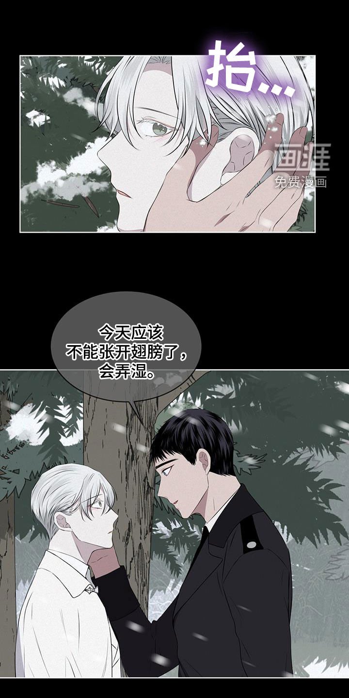 第68章：【第二季】早已决定