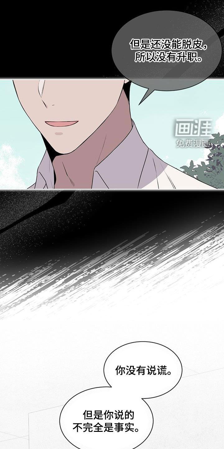第78章：【第二季】不是谎言
