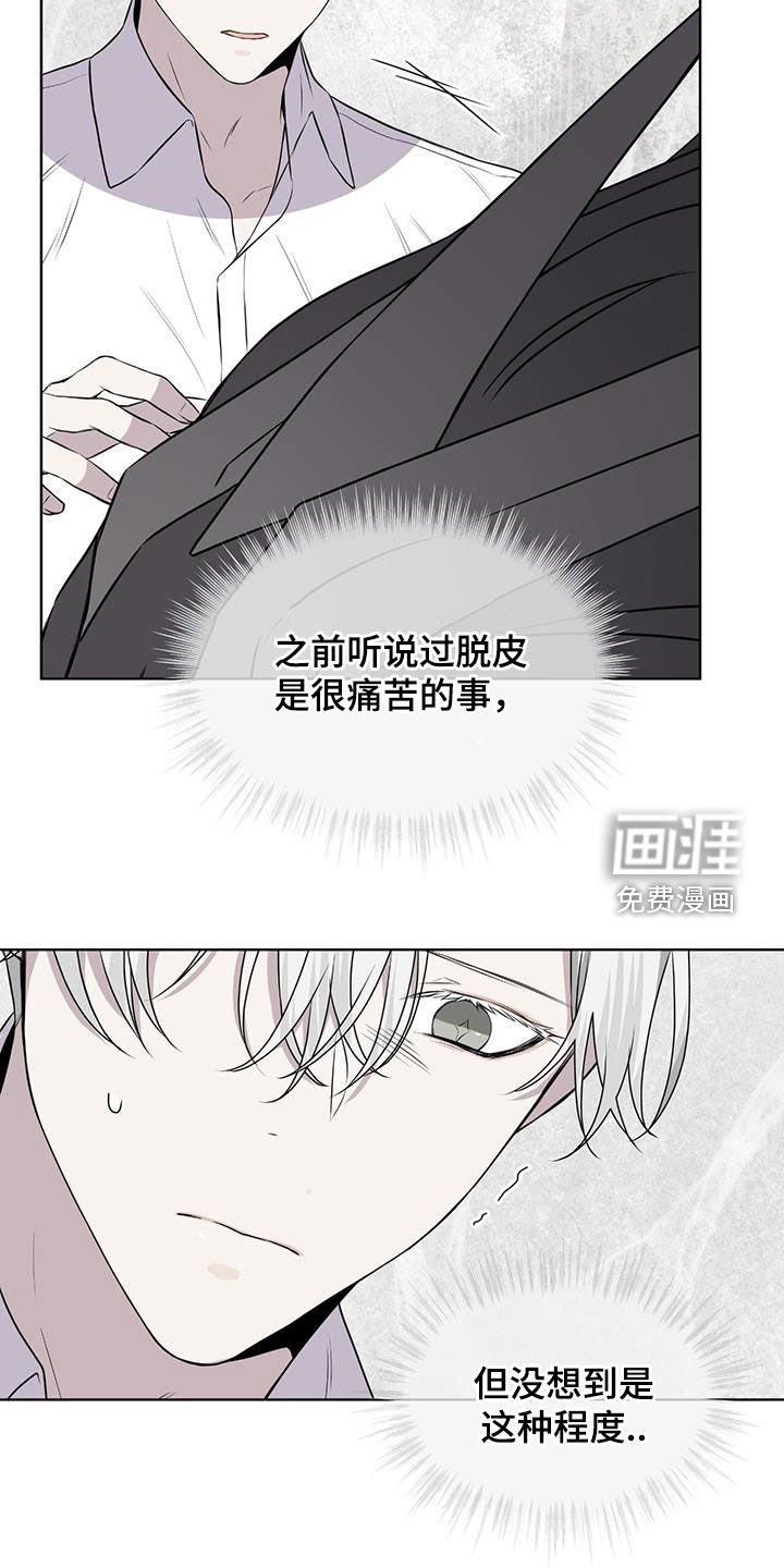 第80章：【第二季】脱皮