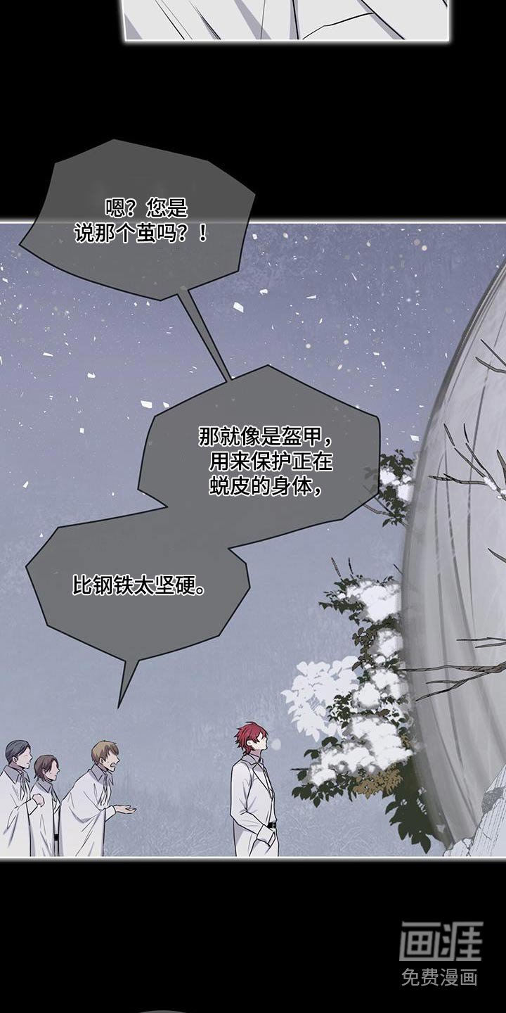 第88章：【第二季】巨茧