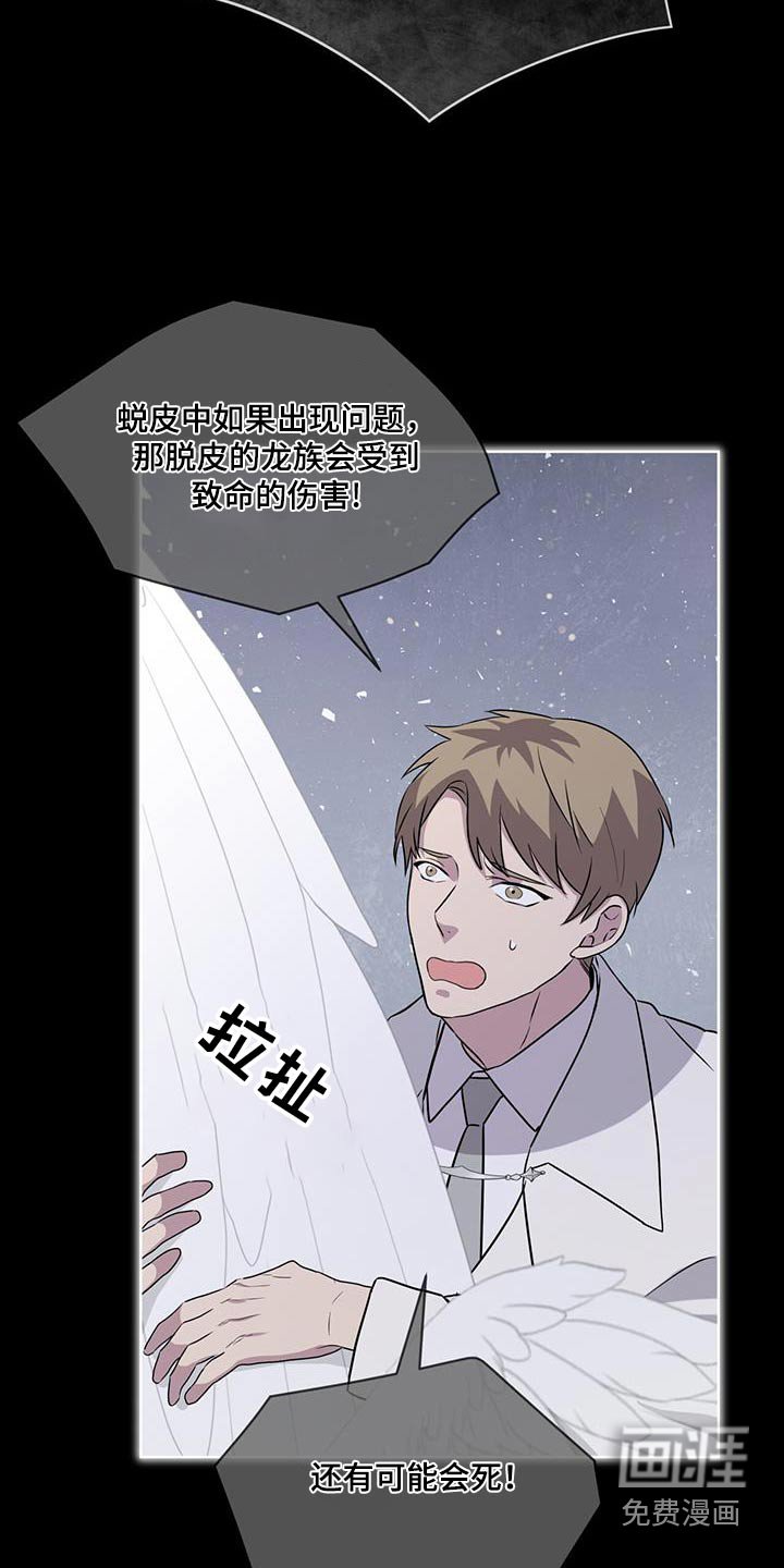 第88章：【第二季】巨茧