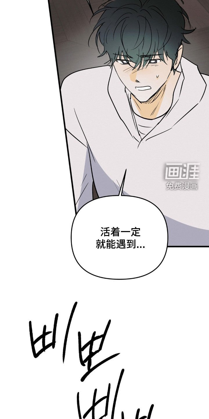 第116章：运气真好啊