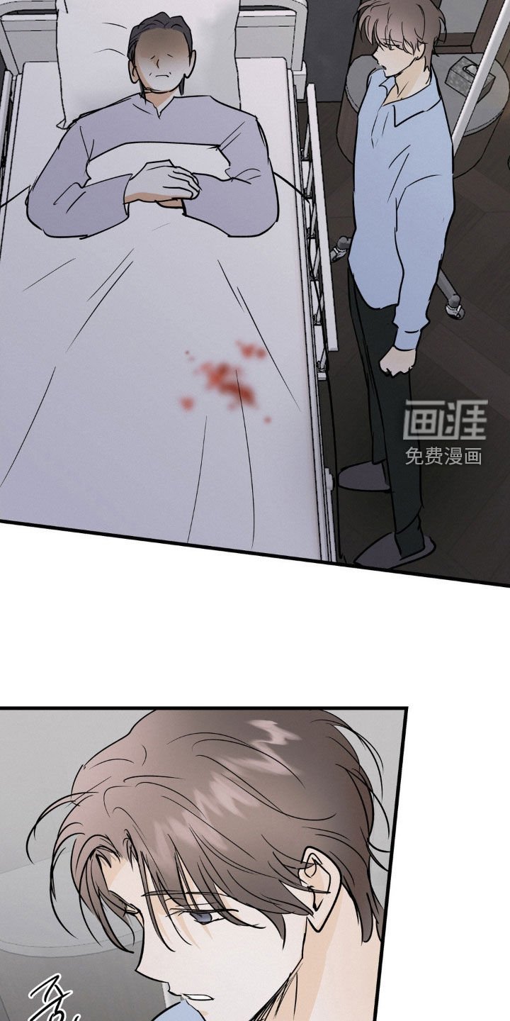 第116章：运气真好啊