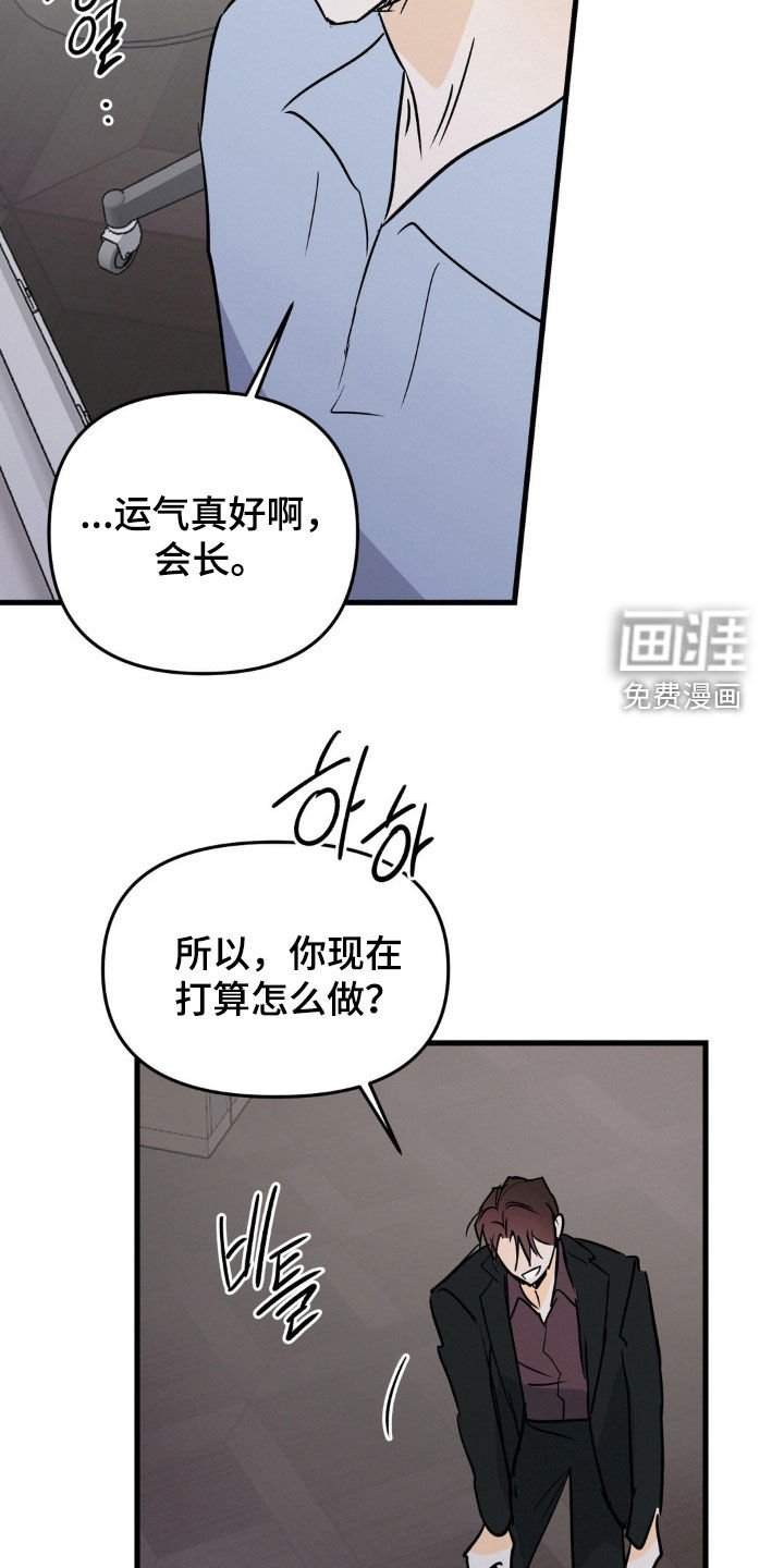 第116章：运气真好啊