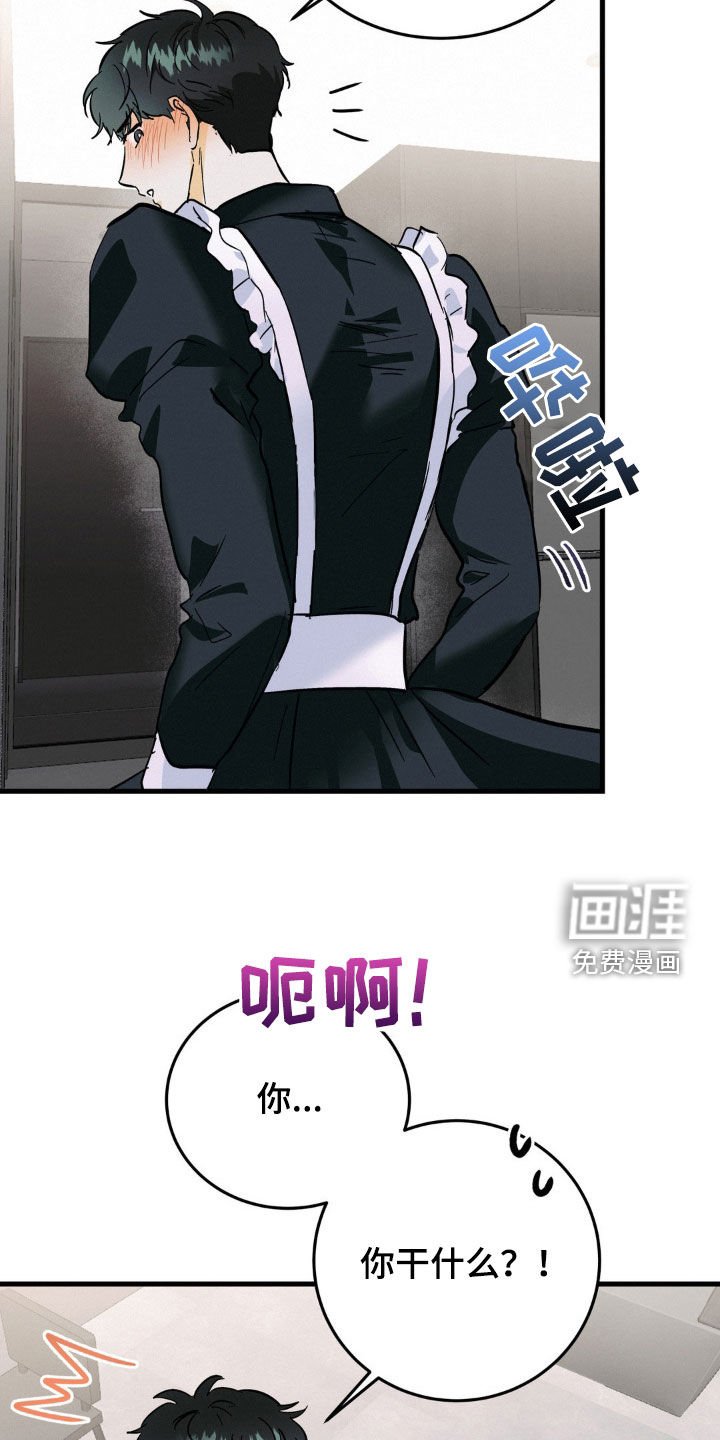 第17章：牵着鼻子走